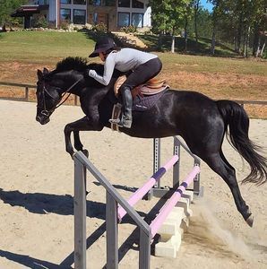 Meet your Posher, Stefanie